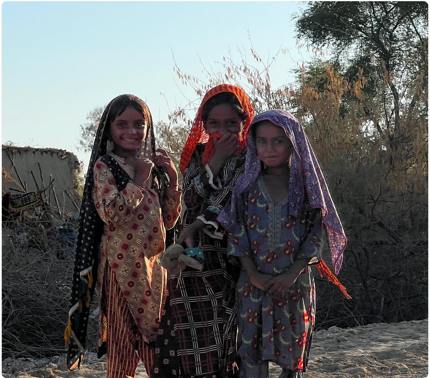 Emergency Services and Appeals