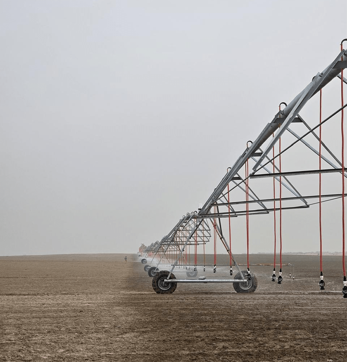 Start of Rizq Dastarkhwan