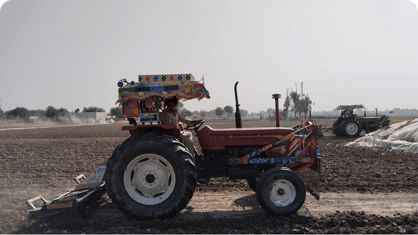 Through the camera lens mobile image 4