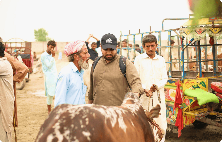 Agriculture & Livestock