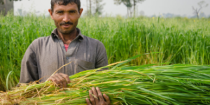 Celebrating with our farmers during the holy month of Ramadan, as we work to break barriers and empower our communities for a better future