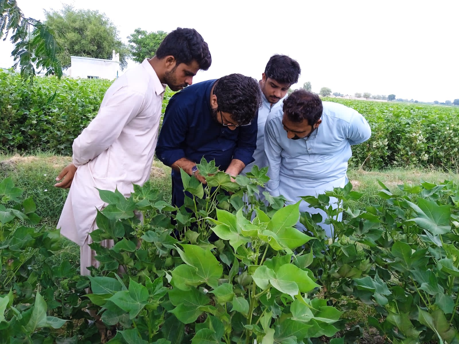 GroRizq: Cultivating the Future of Agriculture in Cholistan